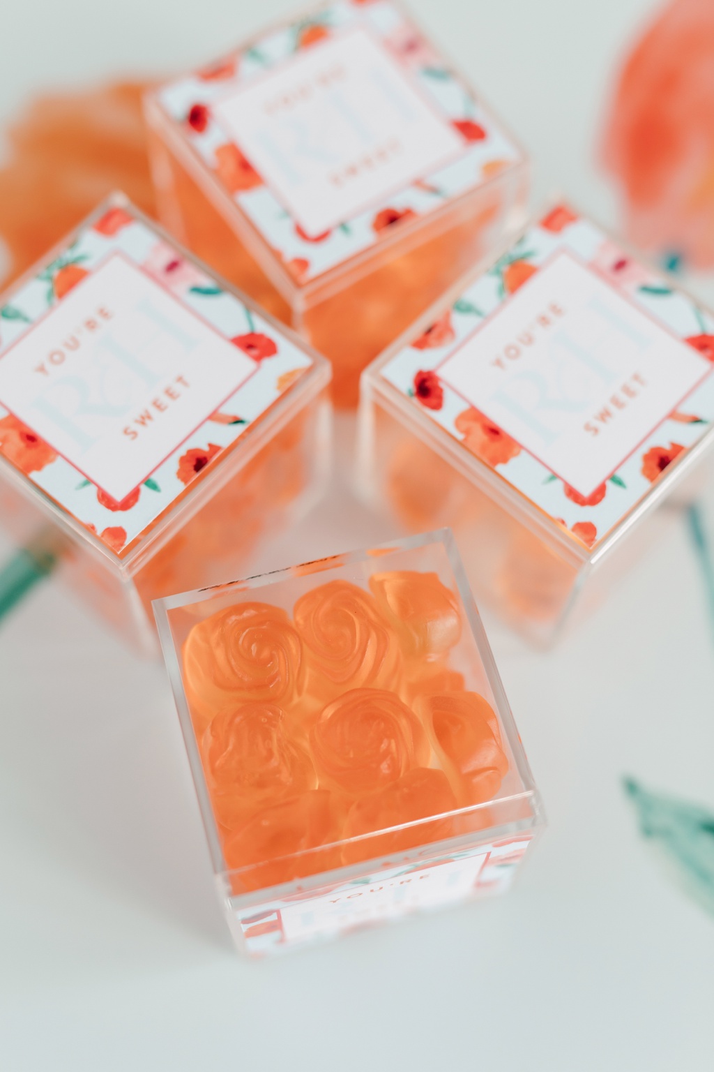 Mint Room Studios | WedLuxe Editorial | Playful Poppies | Fancy Face